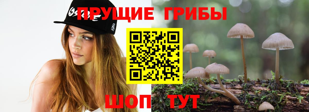 Златоуст  что такое   Вход с VPN  Галлюциногенные грибы мухоморы 